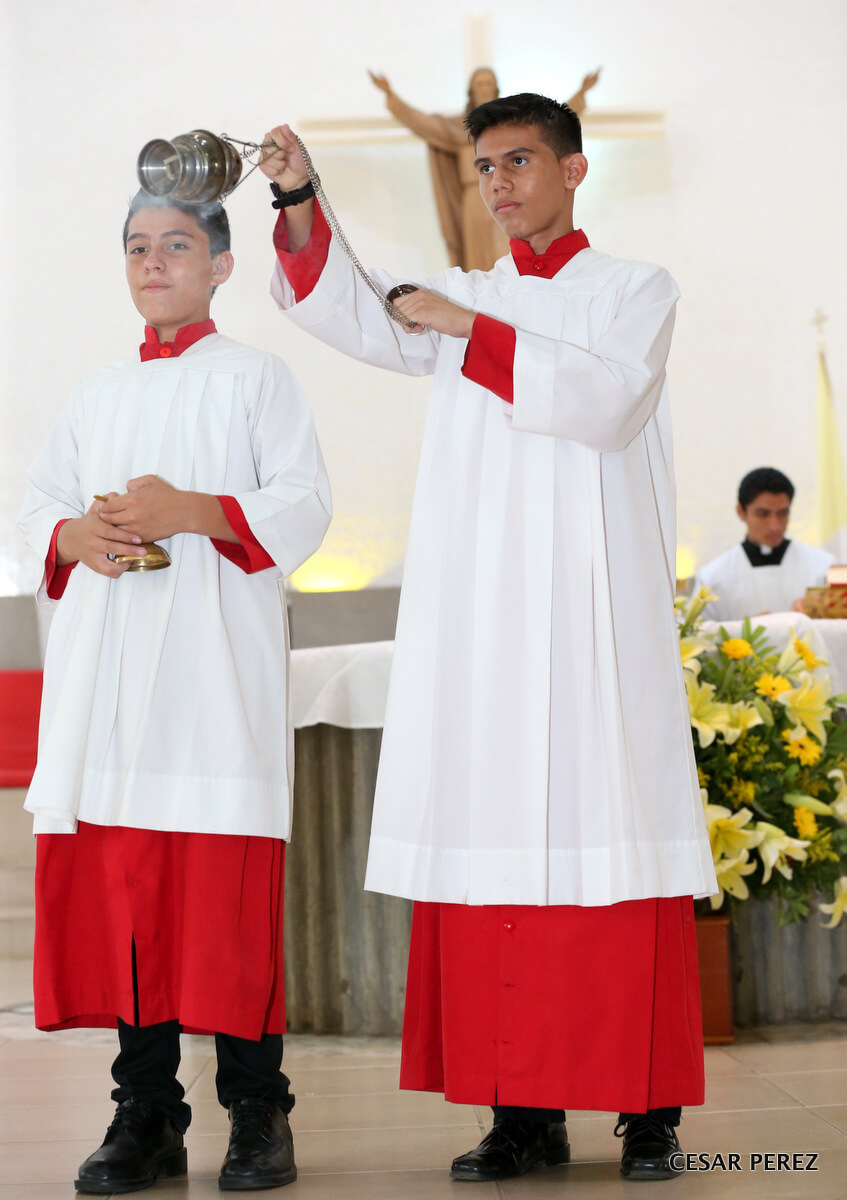 Cardenal1